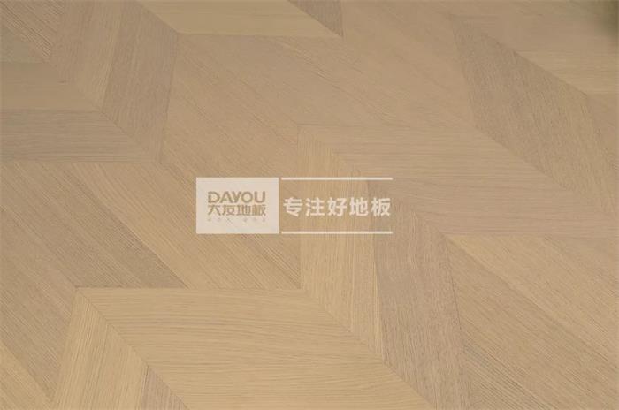 香港正版资料全年资料