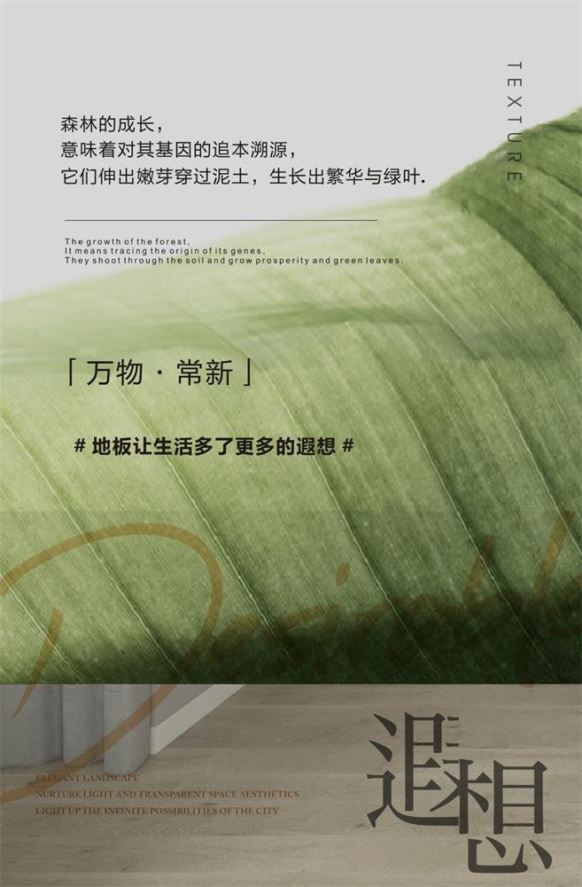 香港正版资料全年资料